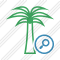 Palmtree Search Icon
