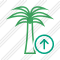 Palmtree Upload Icon