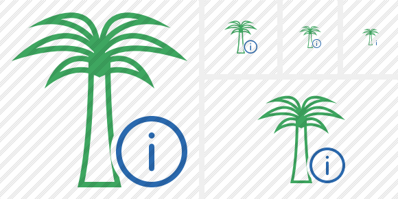 Palmtree Information Icon