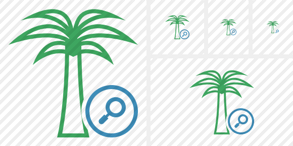 Palmtree Search Icon