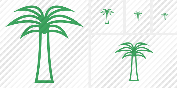 Palmtree Icon