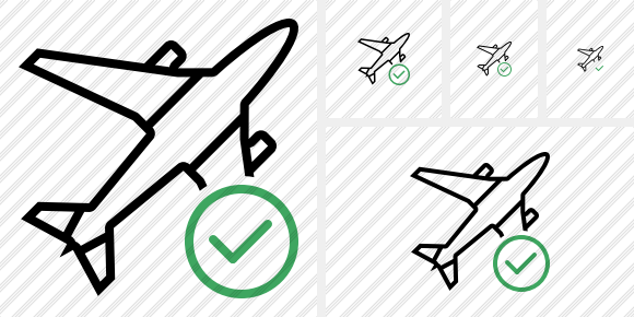 Airplane Ok Icon