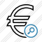 Euro Search Icon