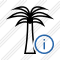 Palmtree Information Icon