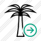 Palmtree Next Icon