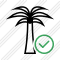 Palmtree Ok Icon