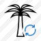 Palmtree Refresh Icon