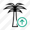 Palmtree Upload Icon