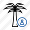 Palmtree User Icon