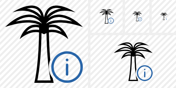 Palmtree Information Icon