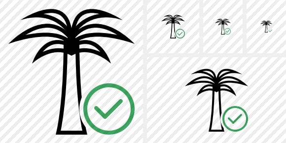 Palmtree Ok Icon