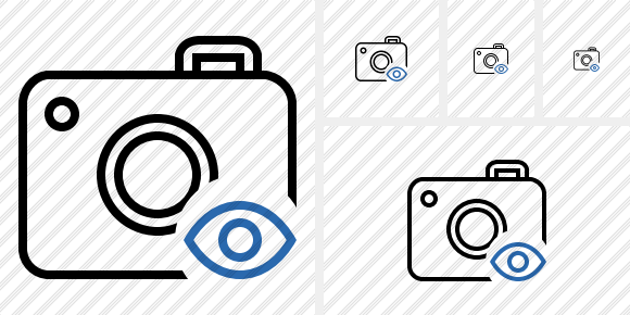 Photocamera View Icon