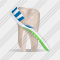 Tooth Toothbrush Icon