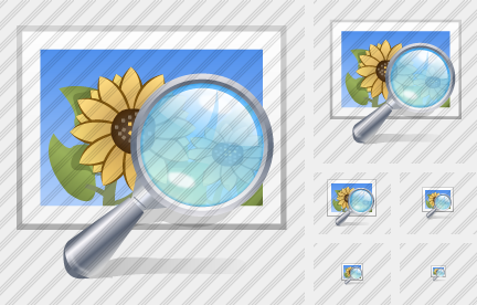 Picture Preview Icon