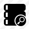 Database Search Icon