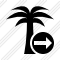 Palmtree Next Icon