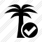 Palmtree Ok Icon