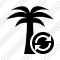 Palmtree Refresh Icon