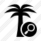 Palmtree Search Icon