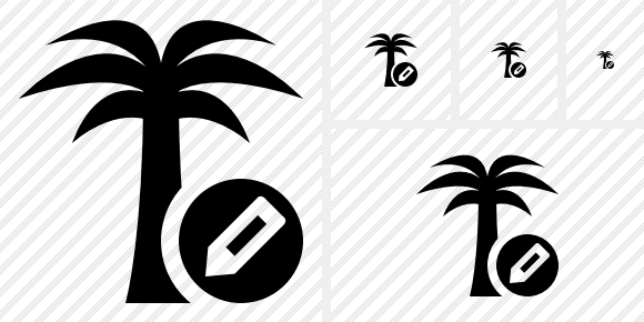  Palmtree Edit