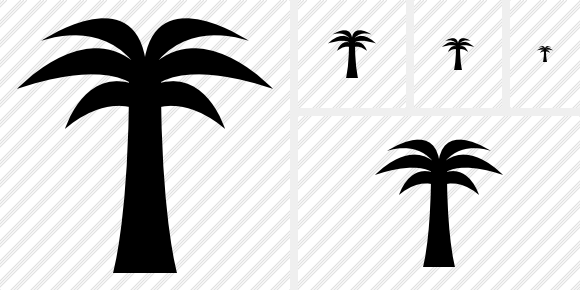  Palmtree