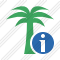 Palmtree Information Icon