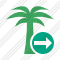 Palmtree Next Icon