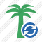 Palmtree Refresh Icon