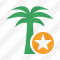 Palmtree Star Icon