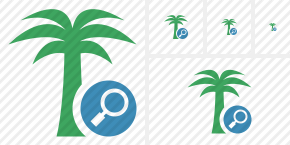 Palmtree Search Icon