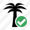 Palmtree Ok Icon