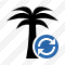 Palmtree Refresh Icon