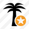 Palmtree Star Icon