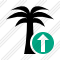 Palmtree Upload Icon