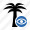 Palmtree View Icon