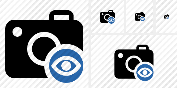 Photocamera View Icon