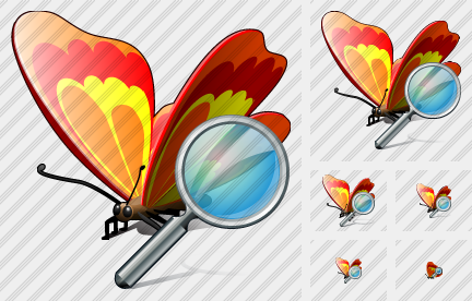 Butterfly Search Icon