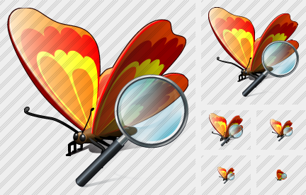 Butterfly Search 2 Icon