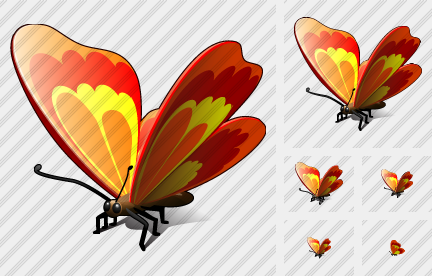 Butterfly Icon