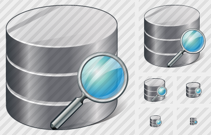 Database Search Icon