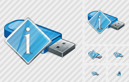 Flash Drive Info Icon