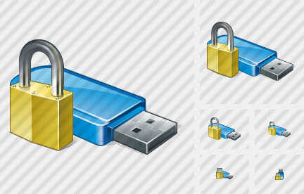 Flash Drive Locked Icon