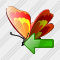 Butterfly Import Icon