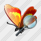 Butterfly Search 2 Icon