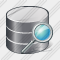 Database Search Icon