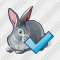 Rabbit Ok Icon