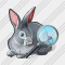 Rabbit Search 2 Icon