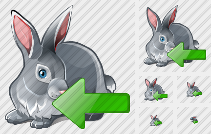  Rabbit Import