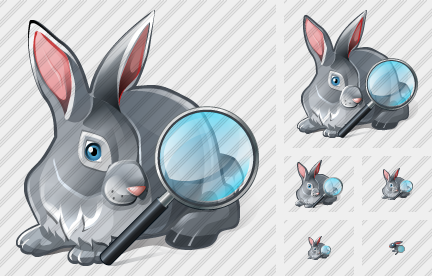 Rabbit Search 2 Icon