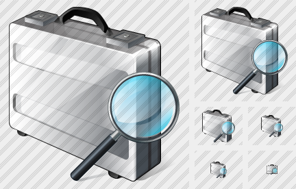 Case Search 2 Icon